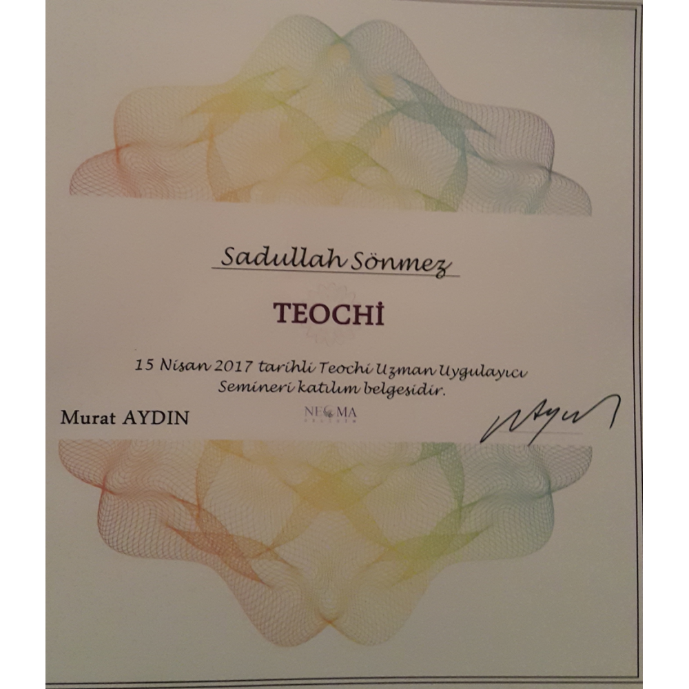 TEOCHI