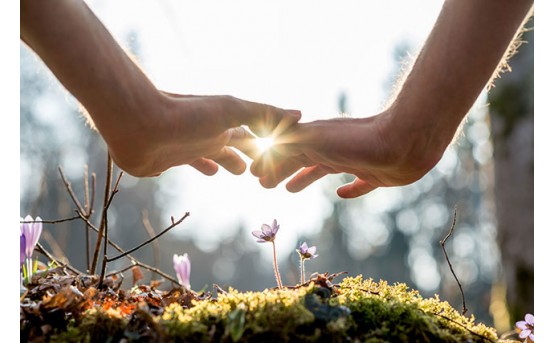 Reiki'nin Kullanım Alanları